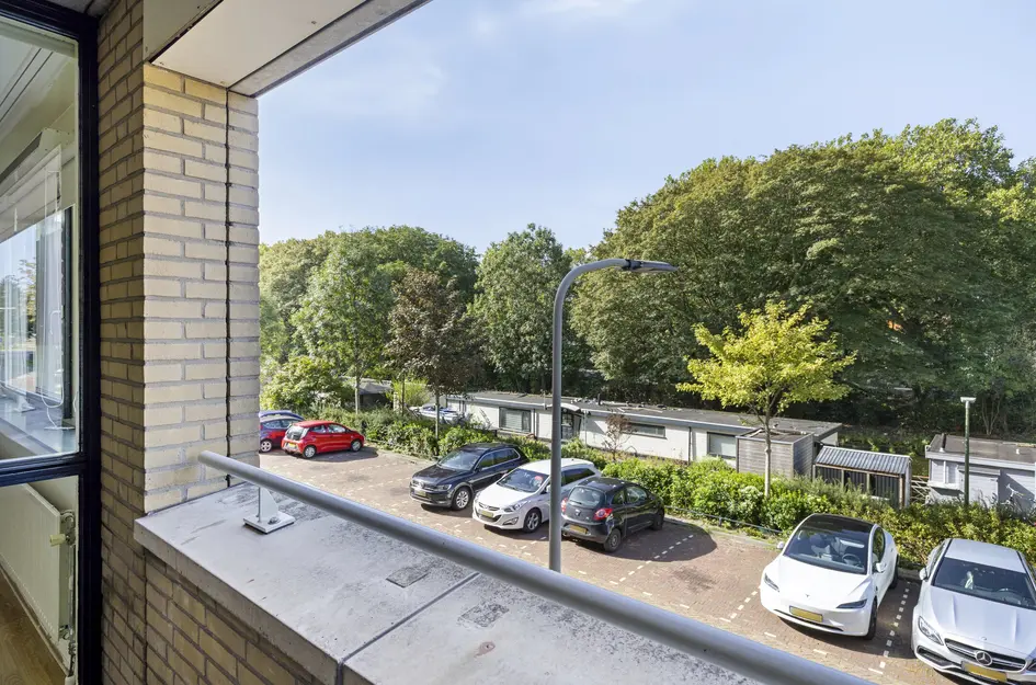 Troelstrakade 17a