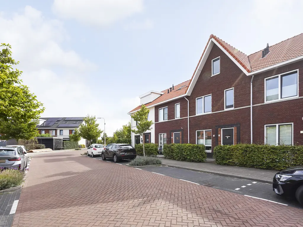 Kleine vos 8, 'S-GRAVENZANDE