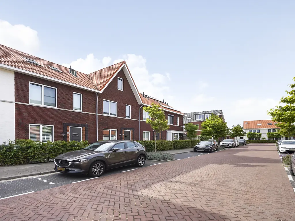 Kleine vos 8, 'S-GRAVENZANDE