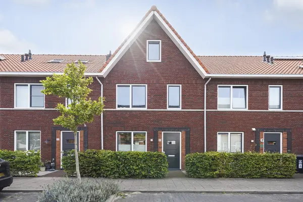 Kleine vos 8