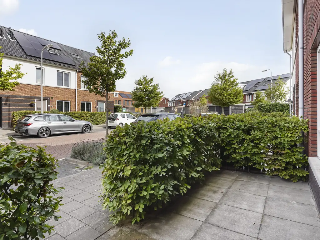 Kleine vos 8, 'S-GRAVENZANDE