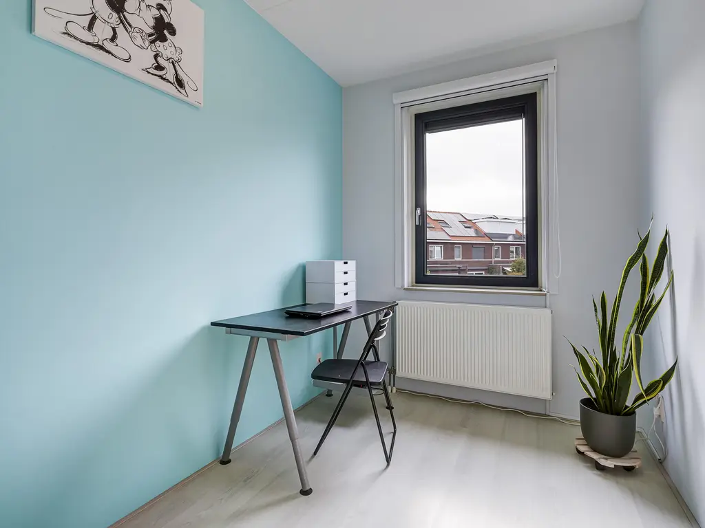 Kleine vos 8, 'S-GRAVENZANDE
