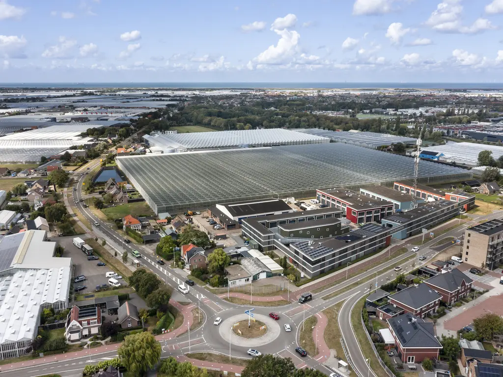 Naaldwijkseweg 384, 'S-GRAVENZANDE