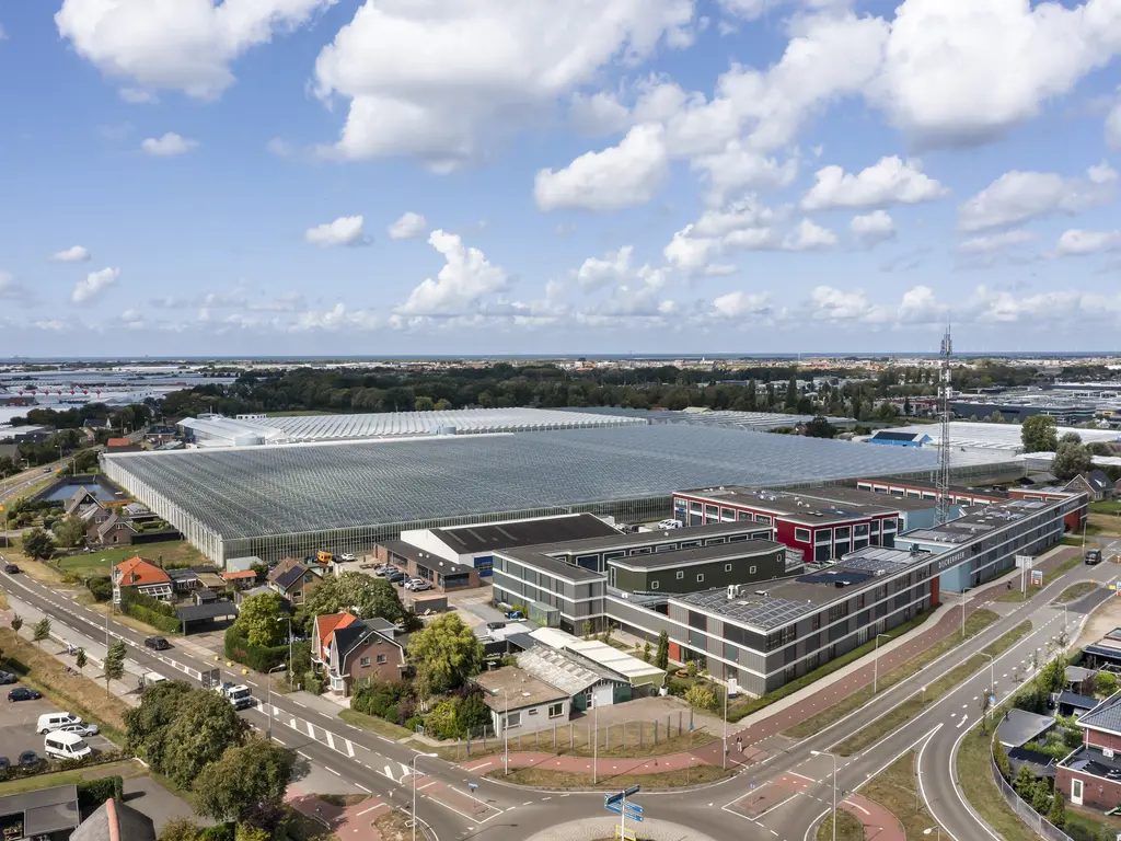 Naaldwijkseweg 384, 'S-GRAVENZANDE