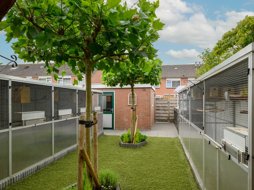 Van Brakelstraat 12, MAASDIJK