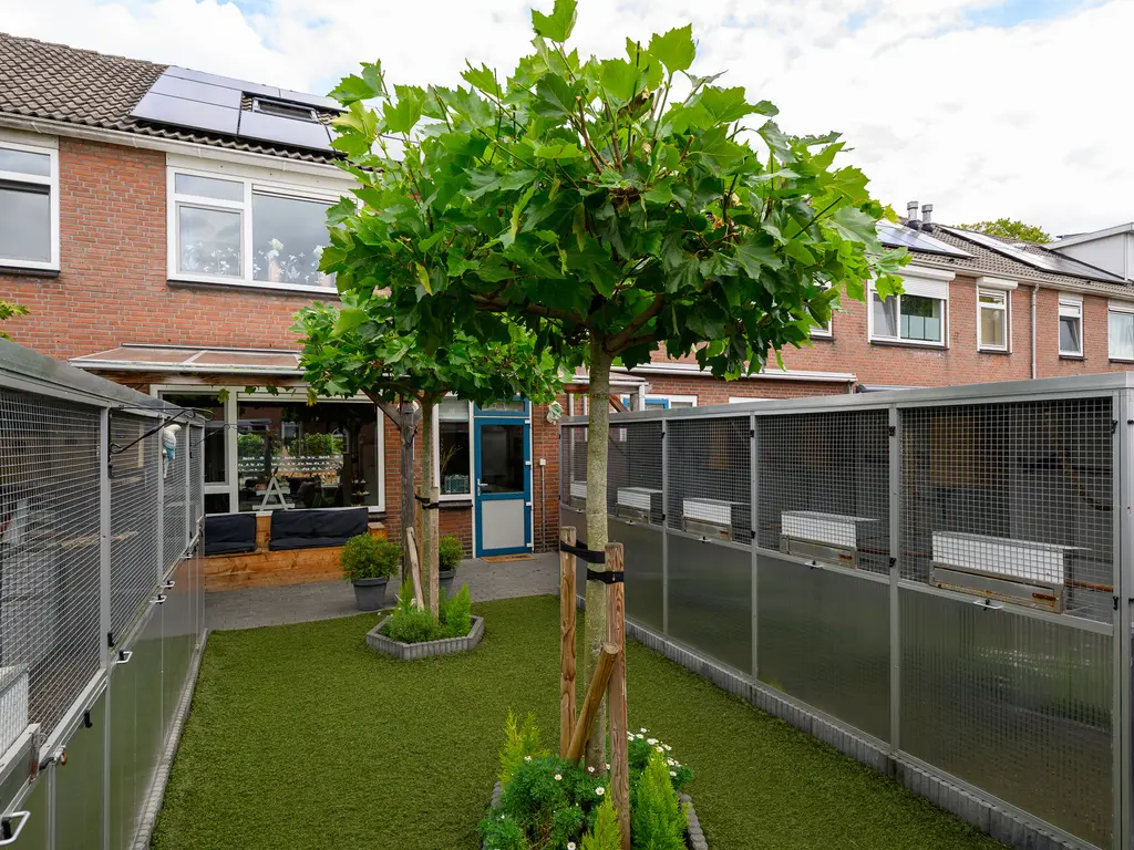 Van Brakelstraat 12, MAASDIJK