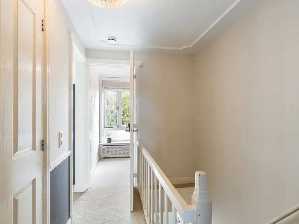 Molenstraat 222, MONSTER
