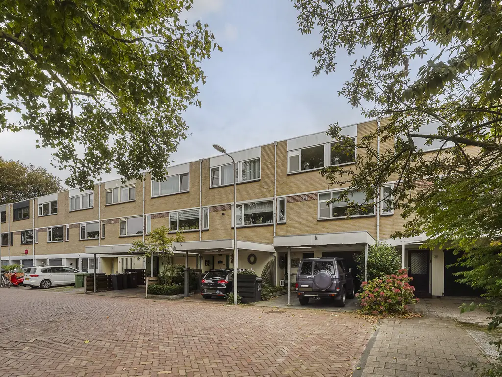 Kievitstraat 36, HONSELERSDIJK