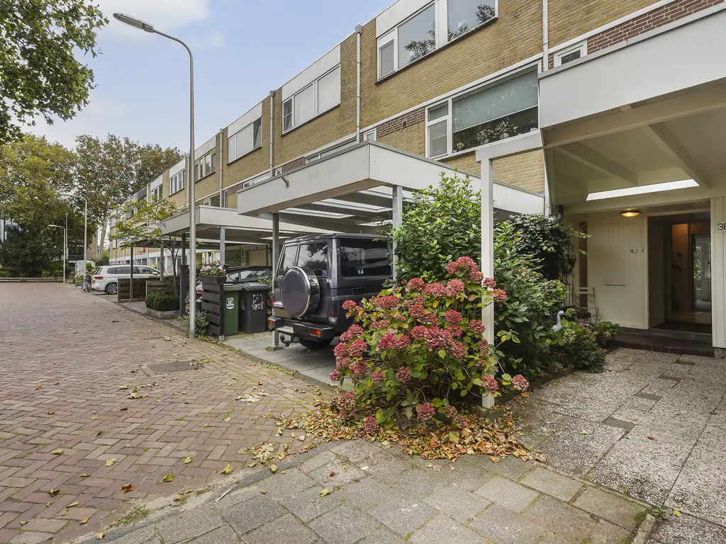 Kievitstraat 36, HONSELERSDIJK