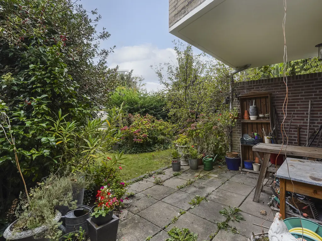 Kievitstraat 36, HONSELERSDIJK
