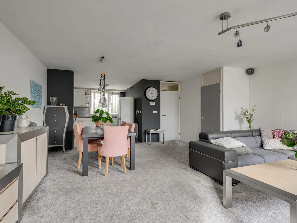 Meerkoet 46, 'S-GRAVENZANDE