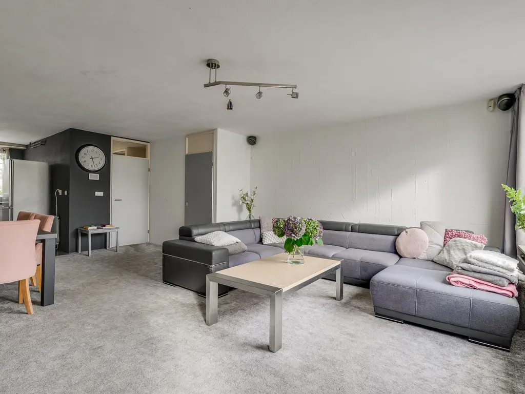 Meerkoet 46, 'S-GRAVENZANDE