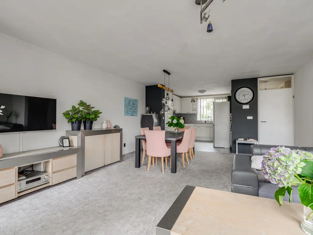 Meerkoet 46, 'S-GRAVENZANDE