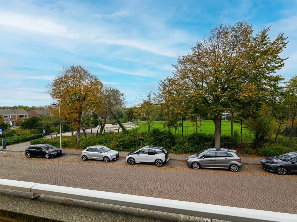 Meerkoet 46, 'S-GRAVENZANDE