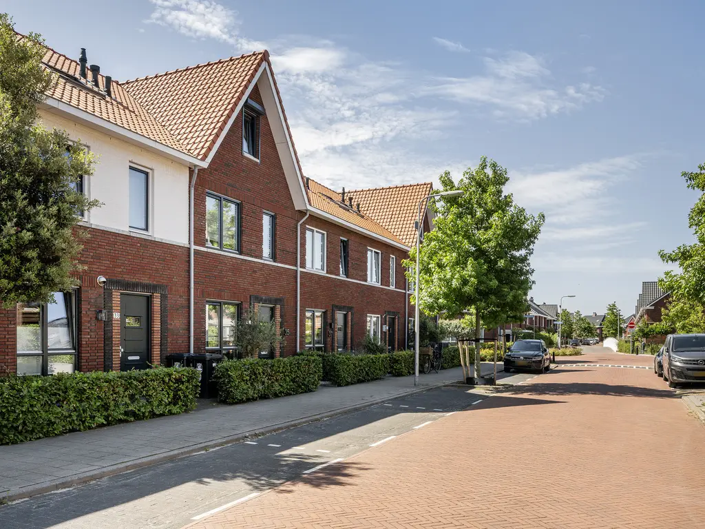 Citroenvlinder 35, 'S-GRAVENZANDE