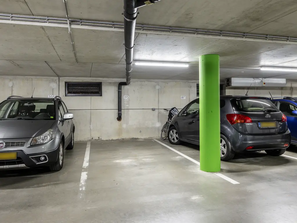 Peter van Anrooylaan 195, MAASSLUIS