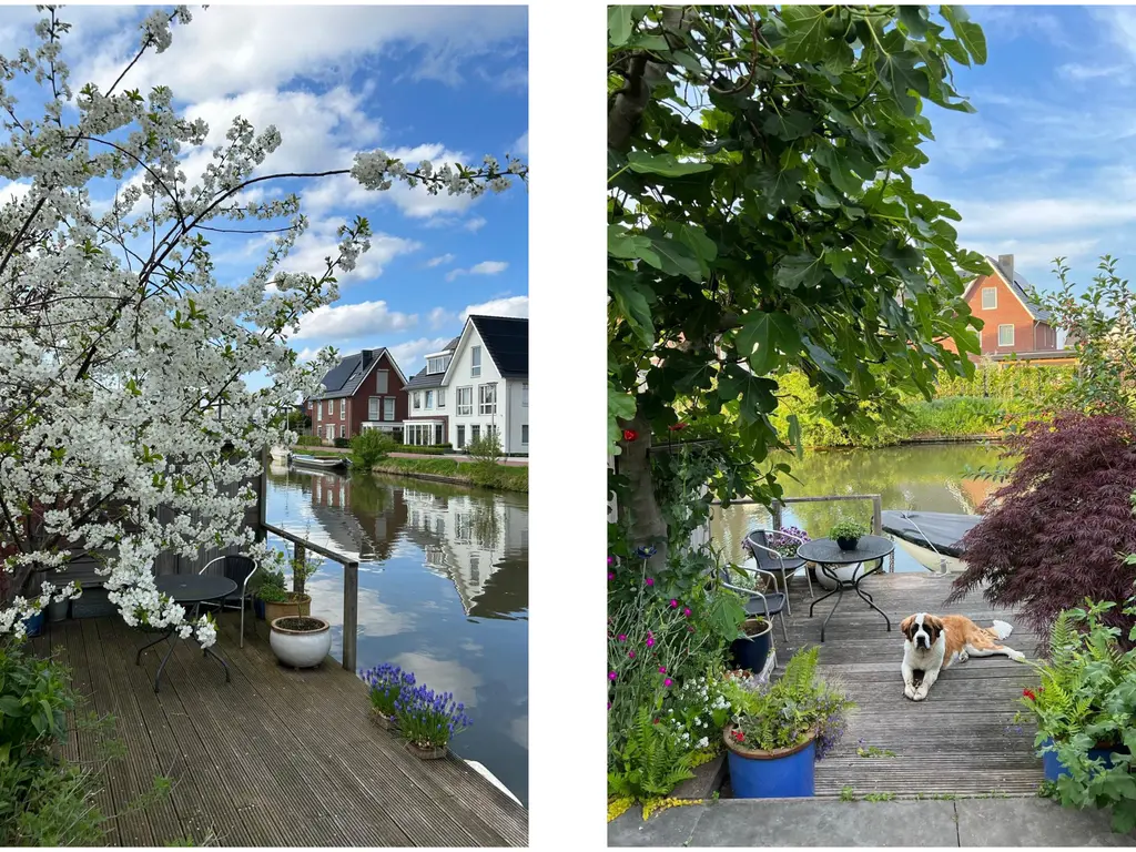 Karekiet 55, 'S-GRAVENZANDE