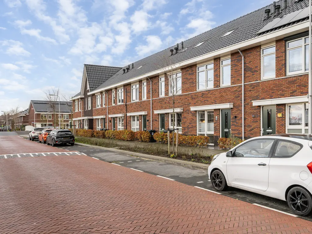 Grote vos 45, 'S-GRAVENZANDE