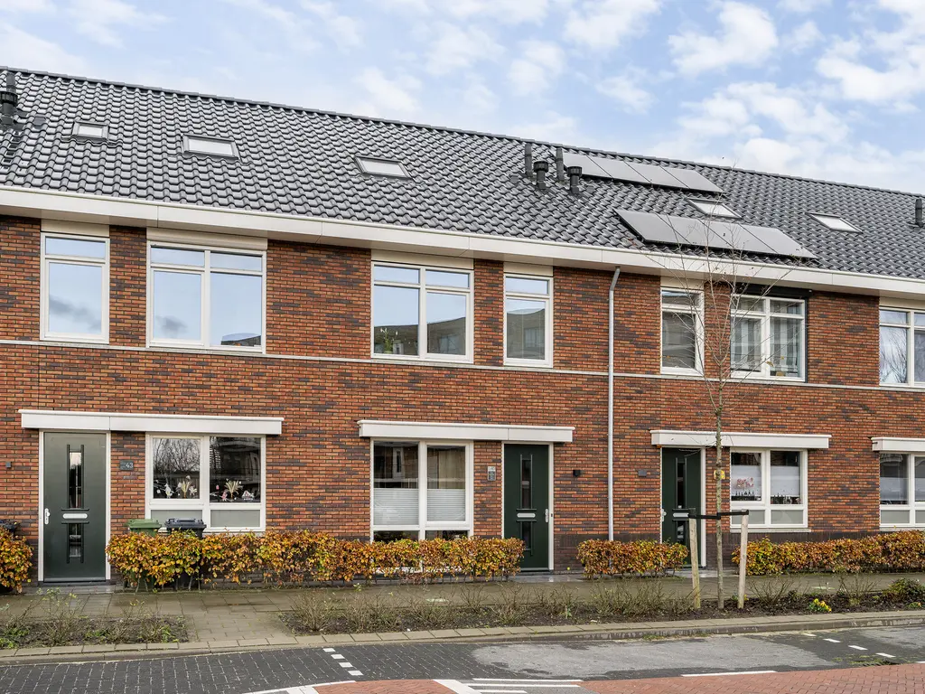 Grote vos 45, 'S-GRAVENZANDE