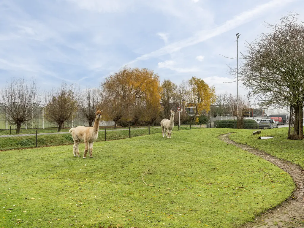 Korte Kruisweg 167, MAASDIJK