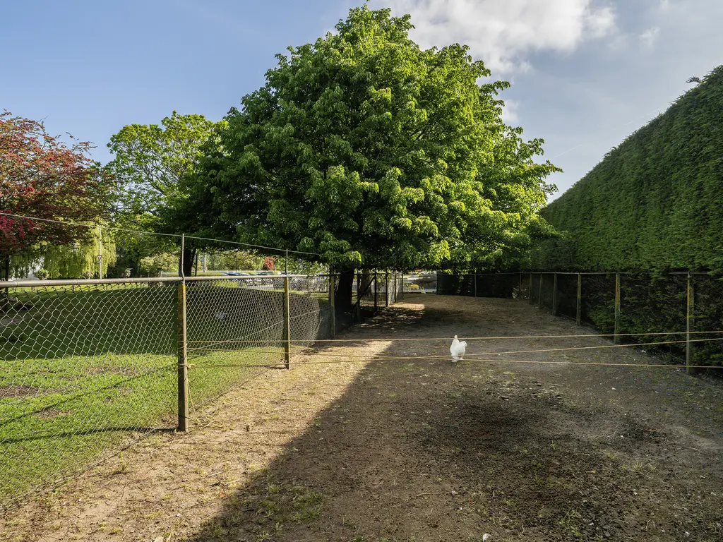 Korte Kruisweg 167, MAASDIJK