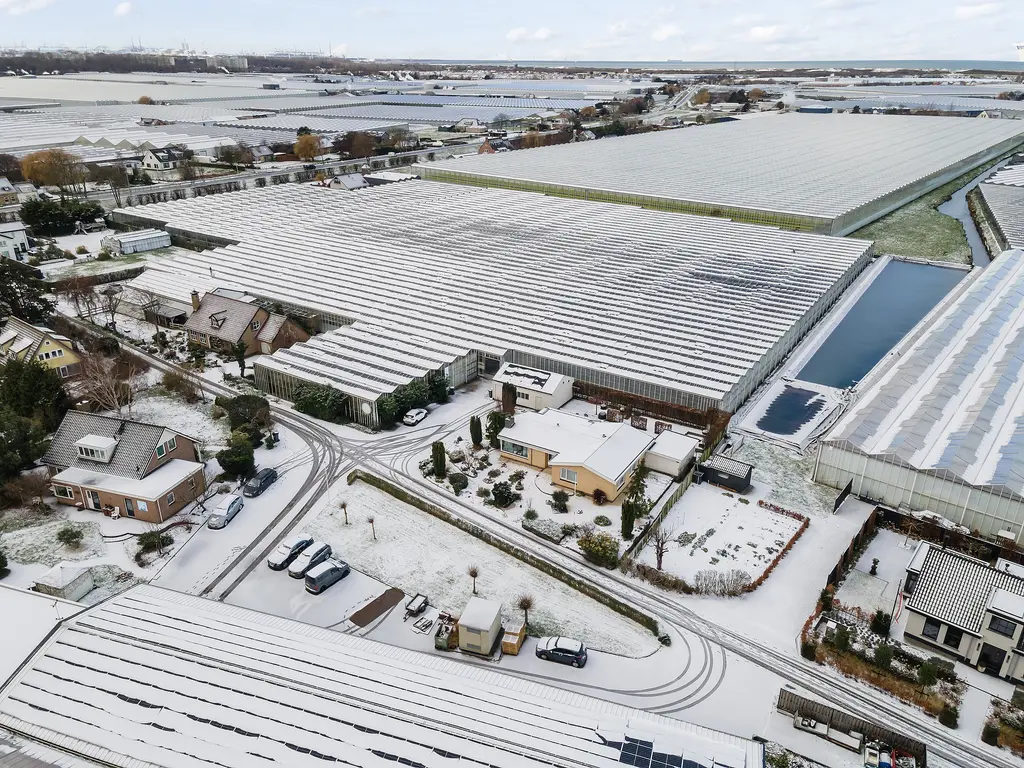 Alsemgeestlaan 7, 'S-GRAVENZANDE