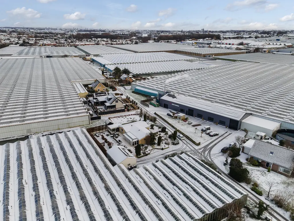 Alsemgeestlaan 7, 'S-GRAVENZANDE