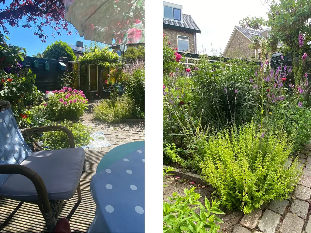 Mariëndijk 17, HONSELERSDIJK