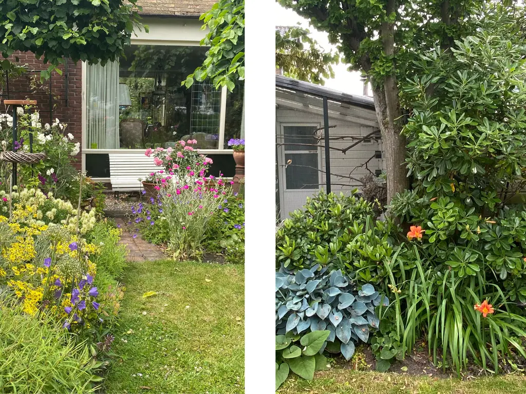 Mariëndijk 17, HONSELERSDIJK