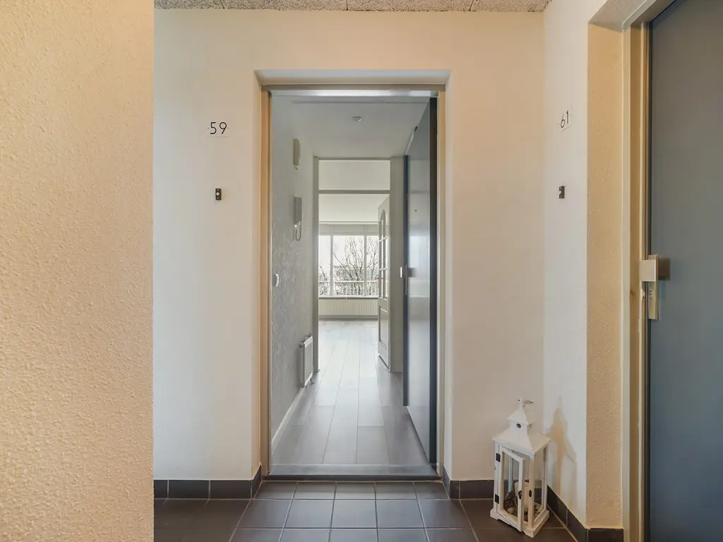 Dreeslaan 59, NAALDWIJK