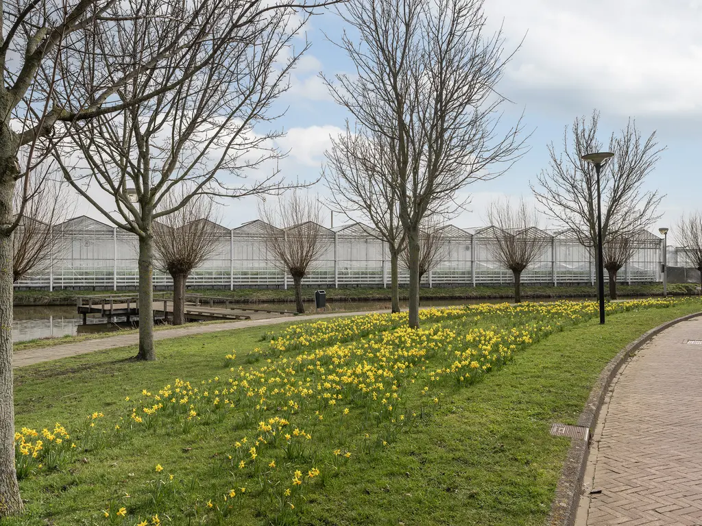 Van der Klugt Wittemansingel 7, POELDIJK