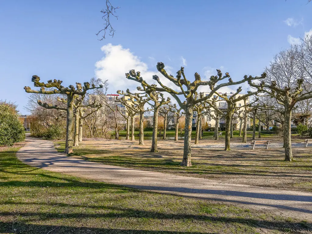Schaepmanstraat 12, NAALDWIJK