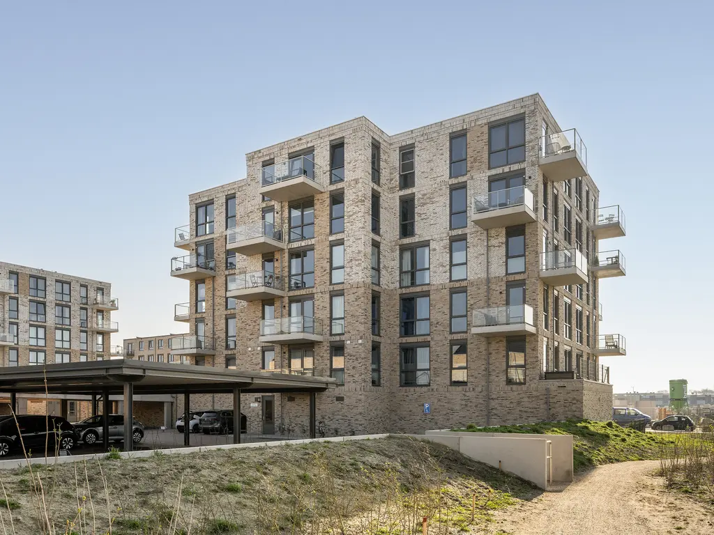 Fluwijn 499, 'S-GRAVENZANDE