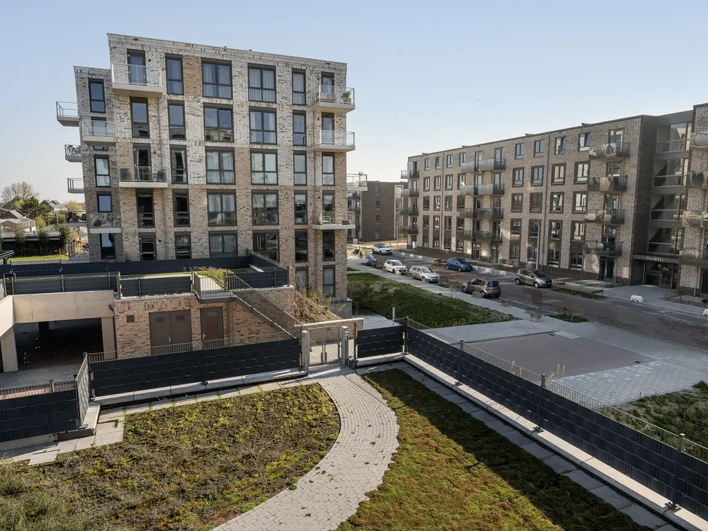 Fluwijn 499, 'S-GRAVENZANDE