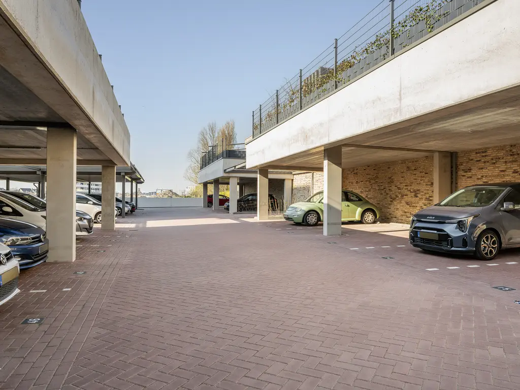 Fluwijn 499, 'S-GRAVENZANDE