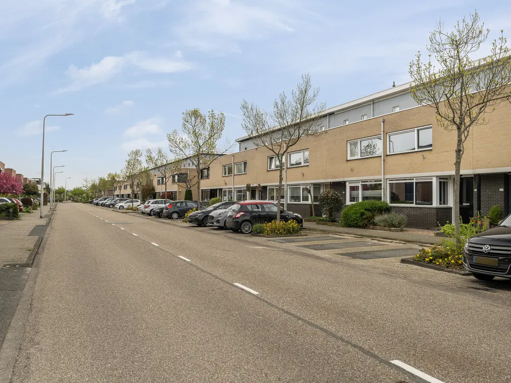 Dreeslaan 223, NAALDWIJK