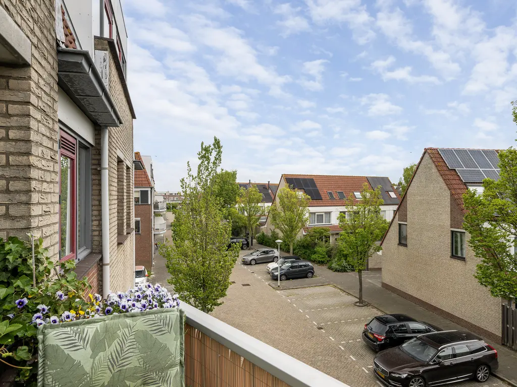 Zeekoet 46, MONSTER