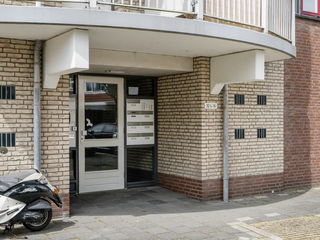 Zeekoet 46, MONSTER