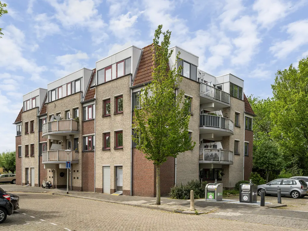 Zeekoet 46, MONSTER