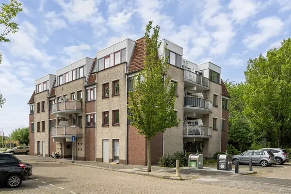 Zeekoet 46