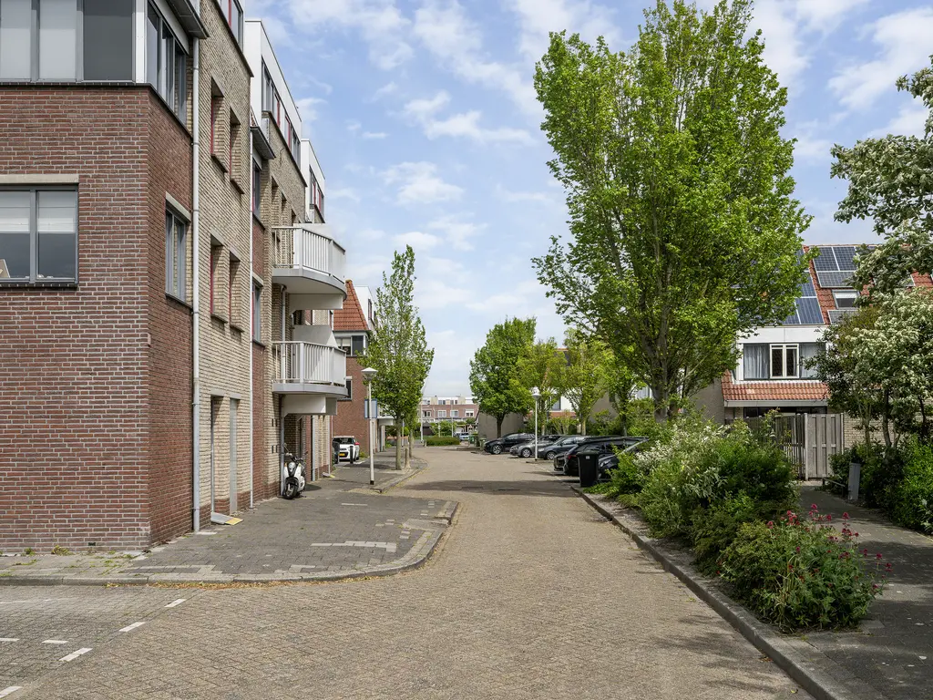 Zeekoet 46, MONSTER