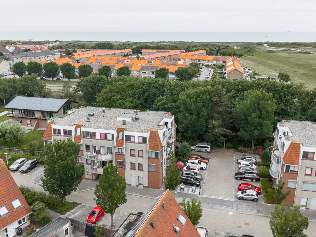 Zeekoet 46, MONSTER