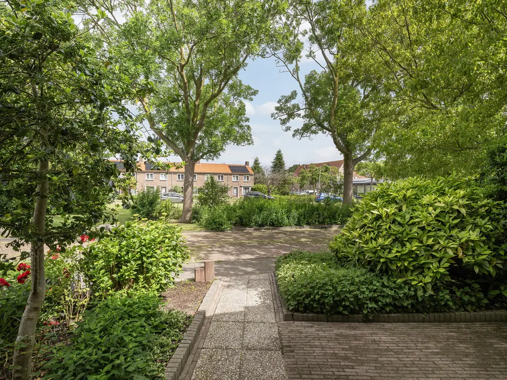 Druivenstraat 165, NAALDWIJK