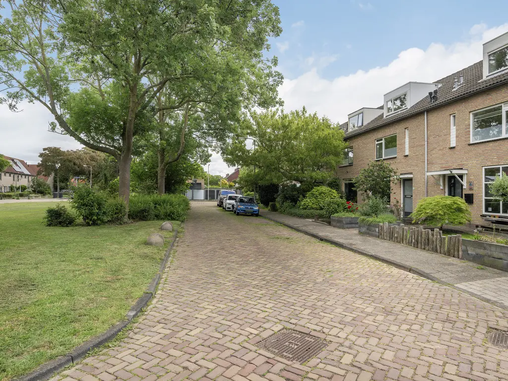 Druivenstraat 165, NAALDWIJK