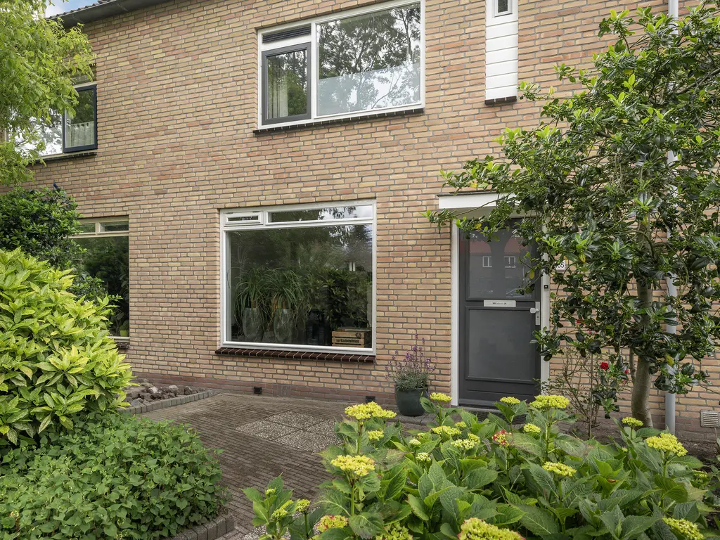 Druivenstraat 165, NAALDWIJK