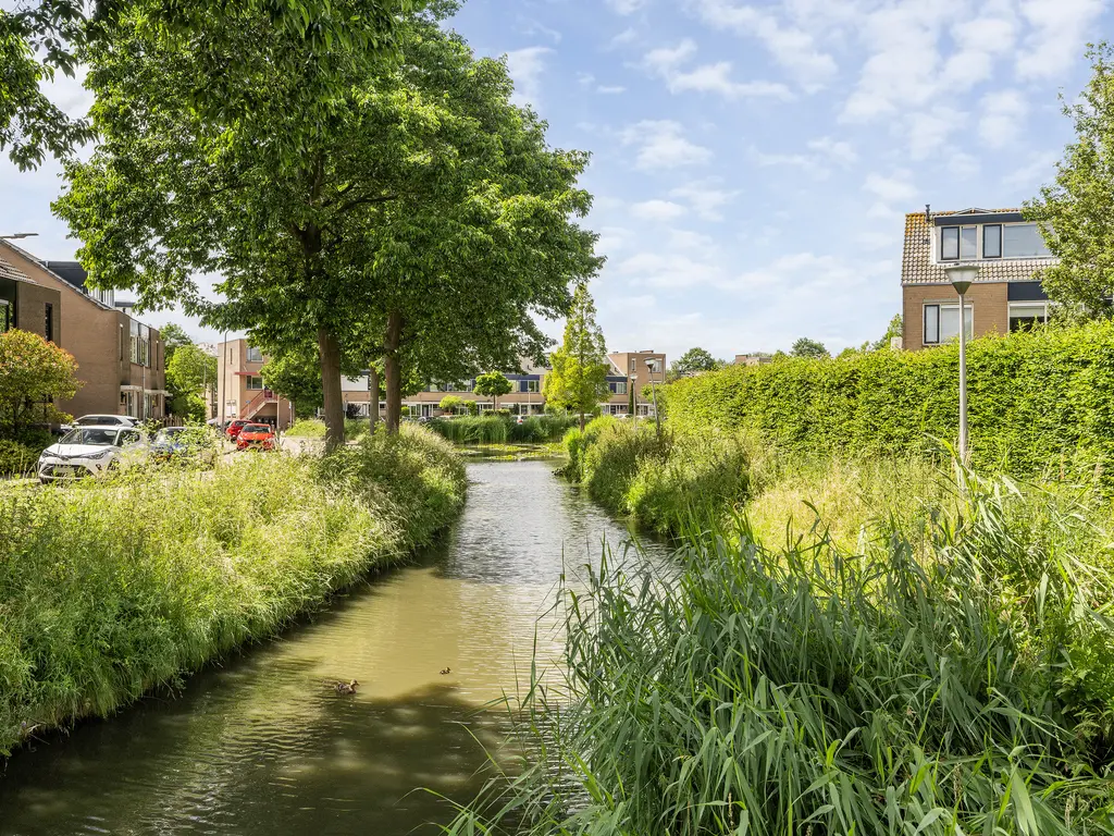 Koolmees 22, DE LIER