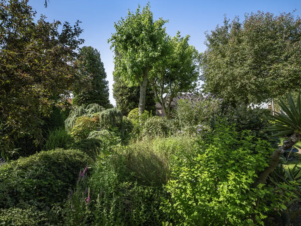 Groeneweg 46, 's-Gravenzande