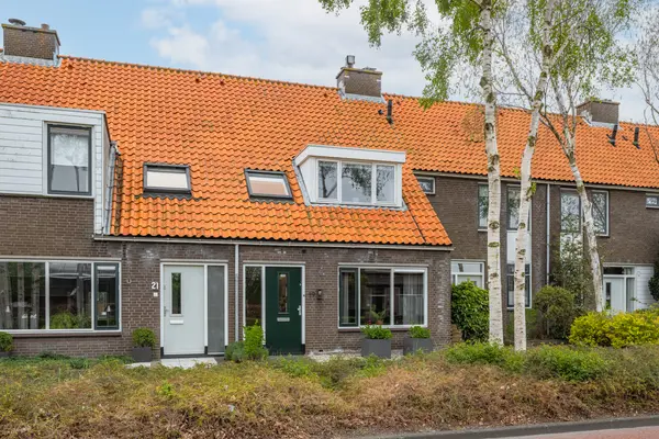 Wollegras 19