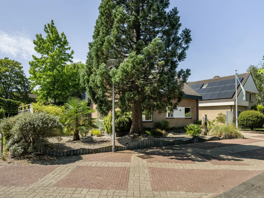 Hondsdraf 13, NAALDWIJK