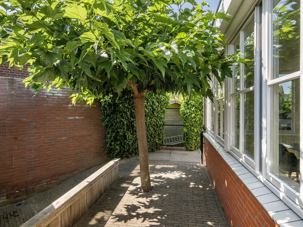 Karekiet 1, 'S-GRAVENZANDE